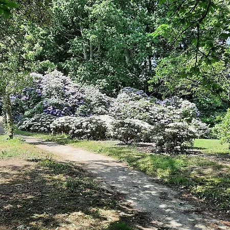 5 Person In Saeby-by Traum Себю