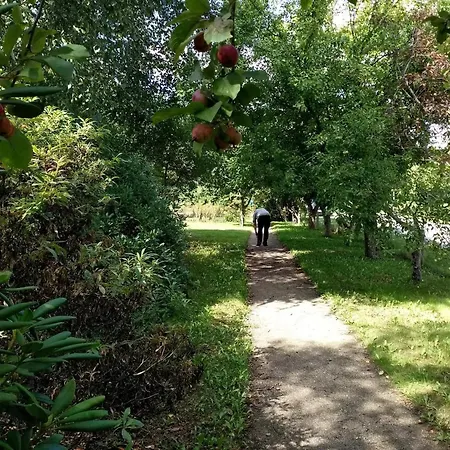 Дом отдыха 5 Person In Saeby-by Traum Себю