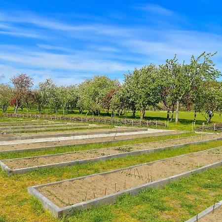 5 Person In Saeby-by Traum *