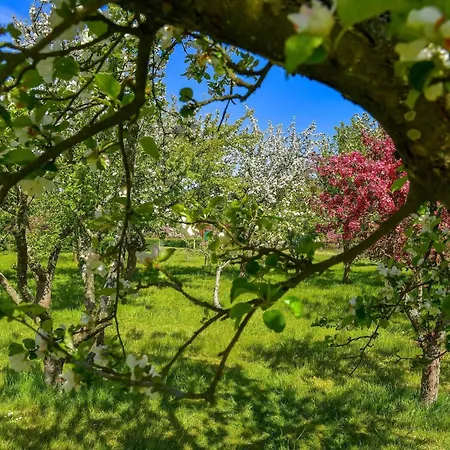 Дом отдыха 5 Person In Saeby-by Traum *