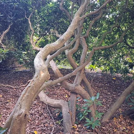 Hébergement de vacances 5 Person In Saeby-by Traum Sæby