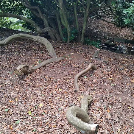 5 Person In Saeby-by Traum * Себю